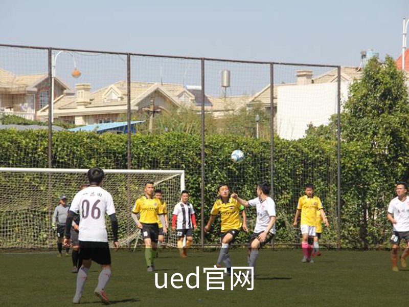 了解ued官网